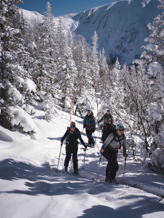 Les Chèvres de Montagne