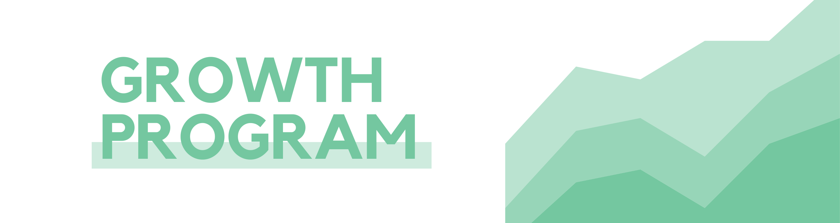 programme croissance-site web